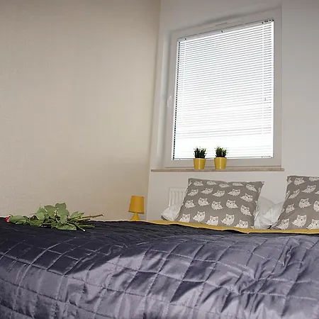 Apartament Chabrowa *